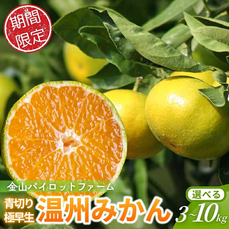 【間もなく出荷開始！】みかん 金山パイロットファームの 極早生温州みかん【2026年9月下旬から順次発送】【knpr0012A-knpr0013A-knpr0018】