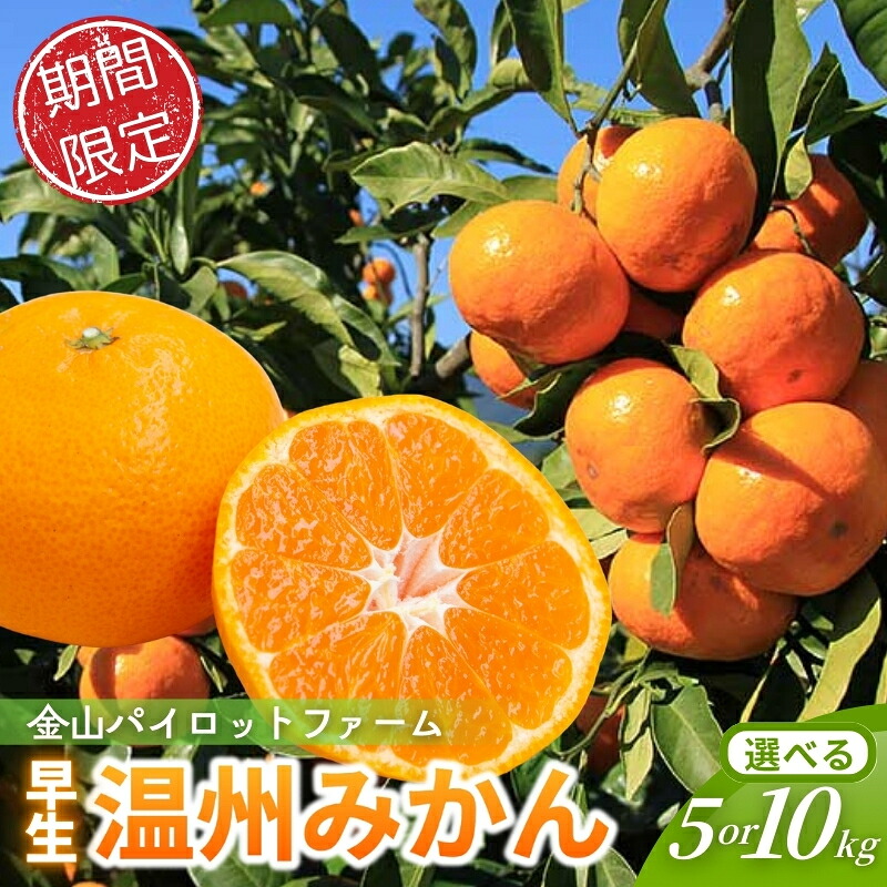 【テレビで紹介されました】 金山パイロットファーム 温州みかん 5kg 10kg (早生) みかん ミカン 早生みかん 早生温州 【2026年11月から12月末までに順次発送】【knpr0014A-knpr0015A】