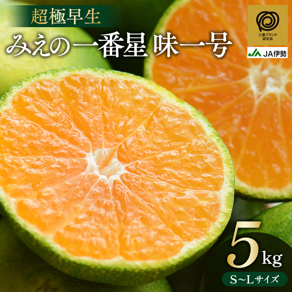 みかん JA 極早生 温州みかん 約5kg