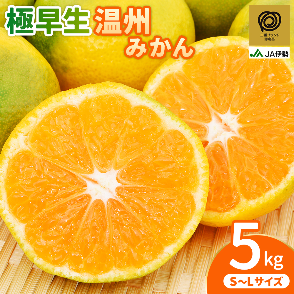 【三重ブランド認定品】 みかん JA 極早生 温州みかん 約5kg S～Lサイズ 光センサー選果 | みかん ミカン 蜜柑 温州みかん 温州ミカン 柑橘 フルーツ 果物 【isen0002】