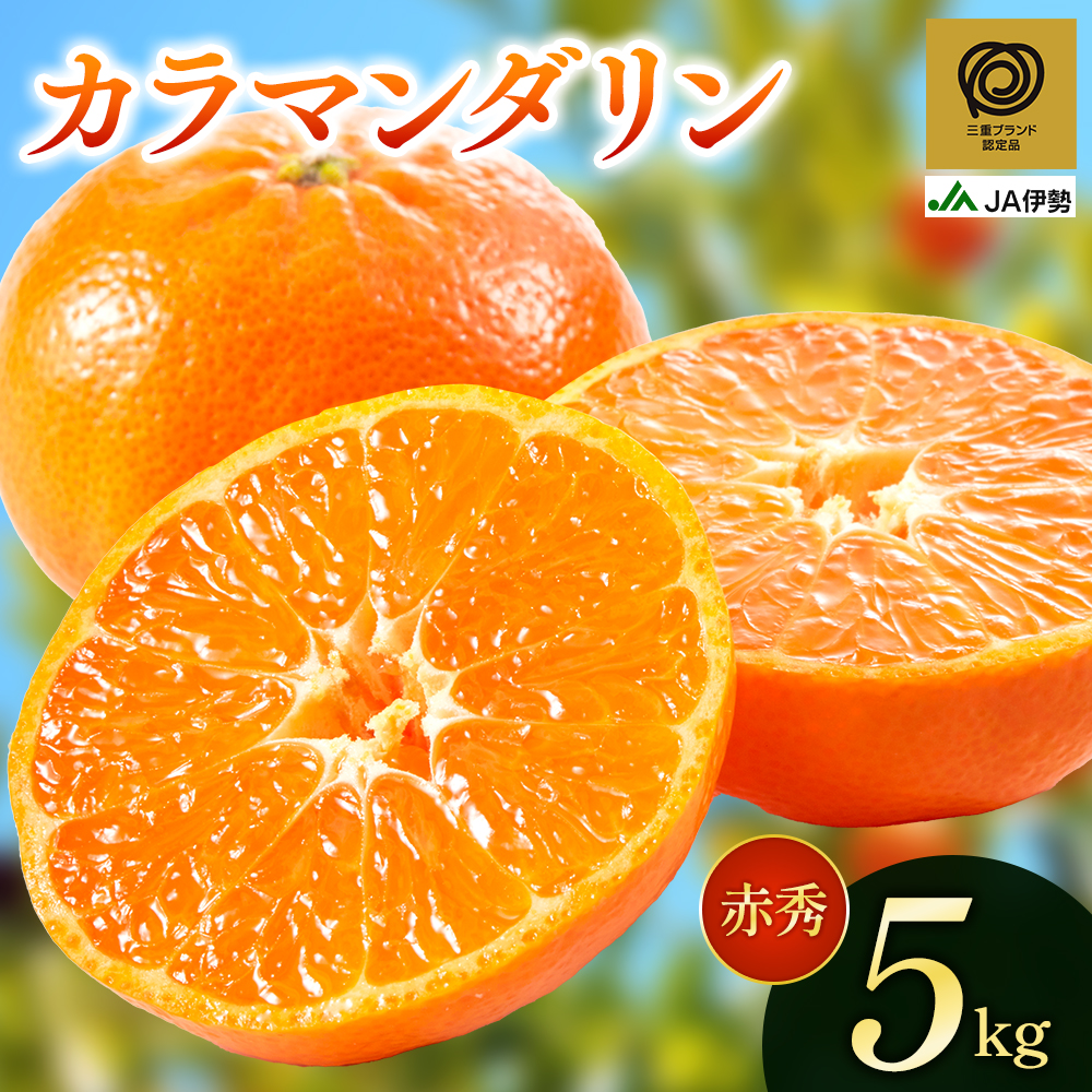JA カラマンダリン 赤秀 約5kg