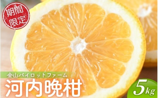 【数量限定】金山パイロットファーム 河内晩柑 5kg みかん ミカン フルーツ 果物 くだもの 柑橘 和製グレープフルーツ グレープ 産地直送 期間限定 国産 三重県【knpr0019】