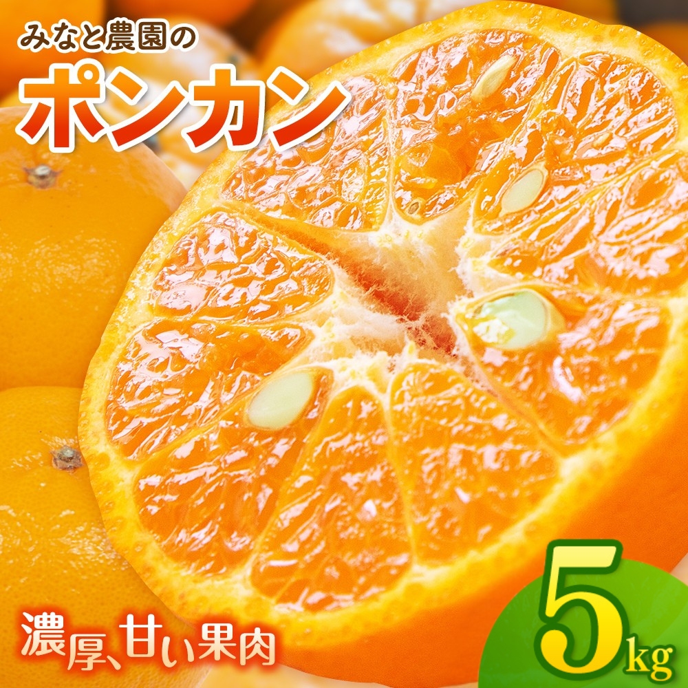 みなと農園のポンカン 約5kg