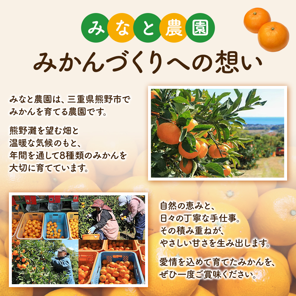 【数量限定】不知火 みなと農園の不知火 約5kg 【2027年2月下旬頃～順次発送】 不知火デコポン みかん ミカン 蜜柑 しらぬい シラヌイ 柑橘 フルーツ 果物【mntf0013】