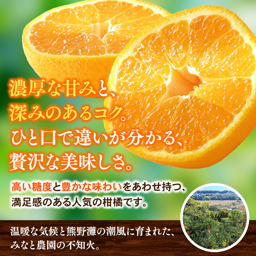 【数量限定】不知火 みなと農園の不知火 約5kg 【2027年2月下旬頃～順次発送】 不知火デコポン みかん ミカン 蜜柑 しらぬい シラヌイ 柑橘 フルーツ 果物【mntf0013】