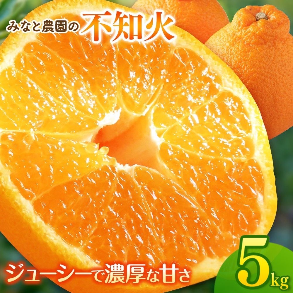 【数量限定】不知火 みなと農園の不知火 約5kg 【2027年2月下旬頃～順次発送】 不知火デコポン みかん ミカン 蜜柑 しらぬい シラヌイ 柑橘 フルーツ 果物【mntf0013】