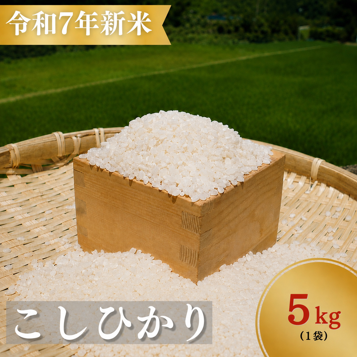 お米 コシヒカリ 恥ずかしがり屋のおじいちゃんが作った