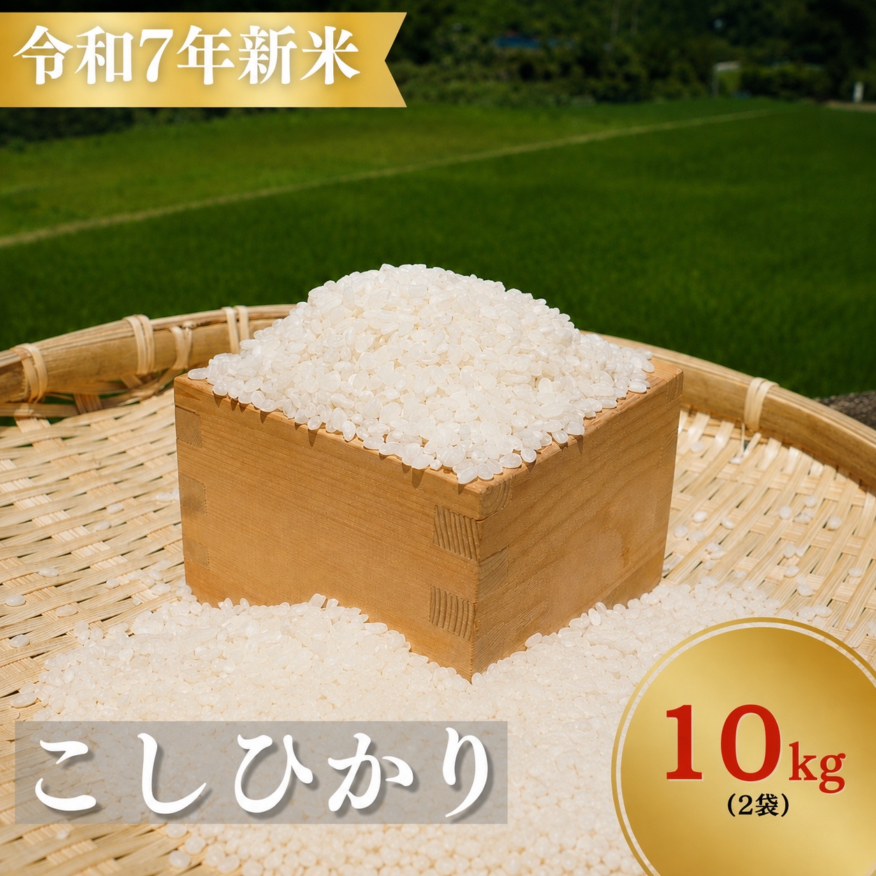 お米 コシヒカリ 恥ずかしがり屋のおじいちゃんが作った