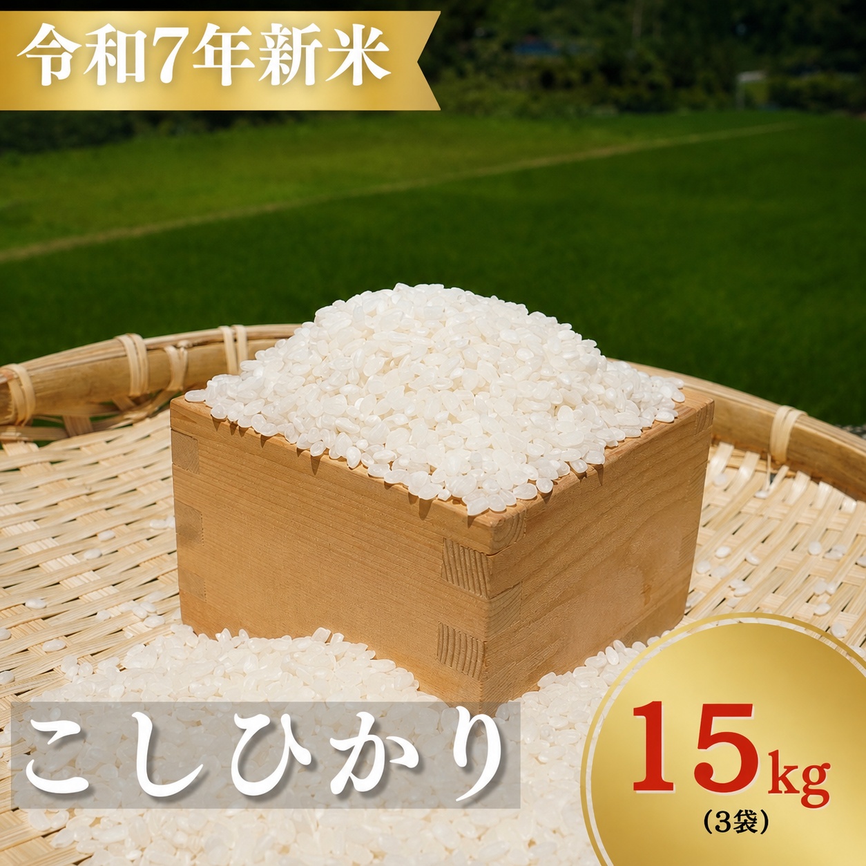お米 コシヒカリ 恥ずかしがり屋のおじいちゃんが作った