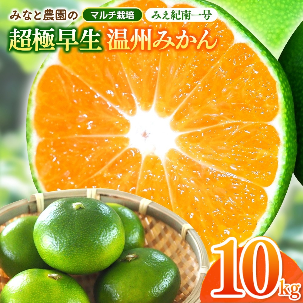 みかん みなと農園のみえ紀南一号 超極早生 約10kg