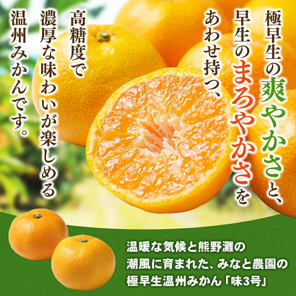 【数量限定】みかん みなと農園の味3号 温州みかん 約10kg 2S~Lサイズ混合 【2026年10月中旬頃~順次発送】 みかん ミカン 蜜柑 温州みかん 温州ミカン【mntf0006】