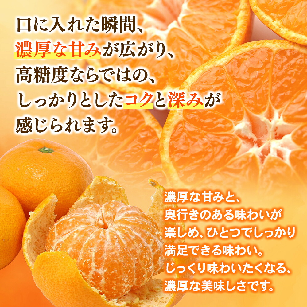 【数量限定】みかん みなと農園の味3号 温州みかん 約10kg 2S~Lサイズ混合 【2026年10月中旬頃~順次発送】 みかん ミカン 蜜柑 温州みかん 温州ミカン【mntf0006】