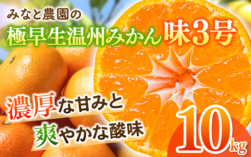 【数量限定】みかん みなと農園の味3号 温州みかん 約10kg 2S~Lサイズ混合 【2026年10月中旬頃~順次発送】 みかん ミカン 蜜柑 温州みかん 温州ミカン【mntf0006】