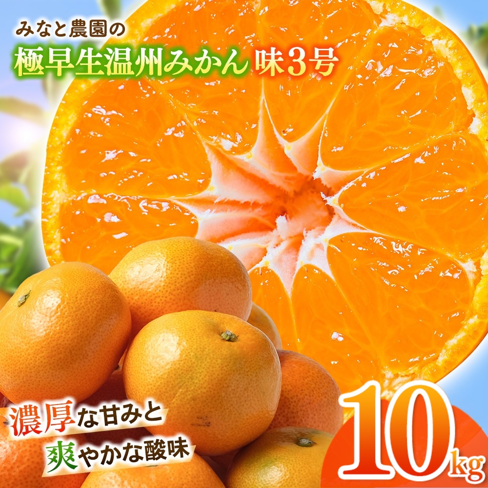 【数量限定】みかん みなと農園の味3号 温州みかん  約10kg 2S～Lサイズ混合 【2026年10月中旬頃～順次発送】 みかん ミカン 蜜柑 温州みかん 温州ミカン【mntf0006】