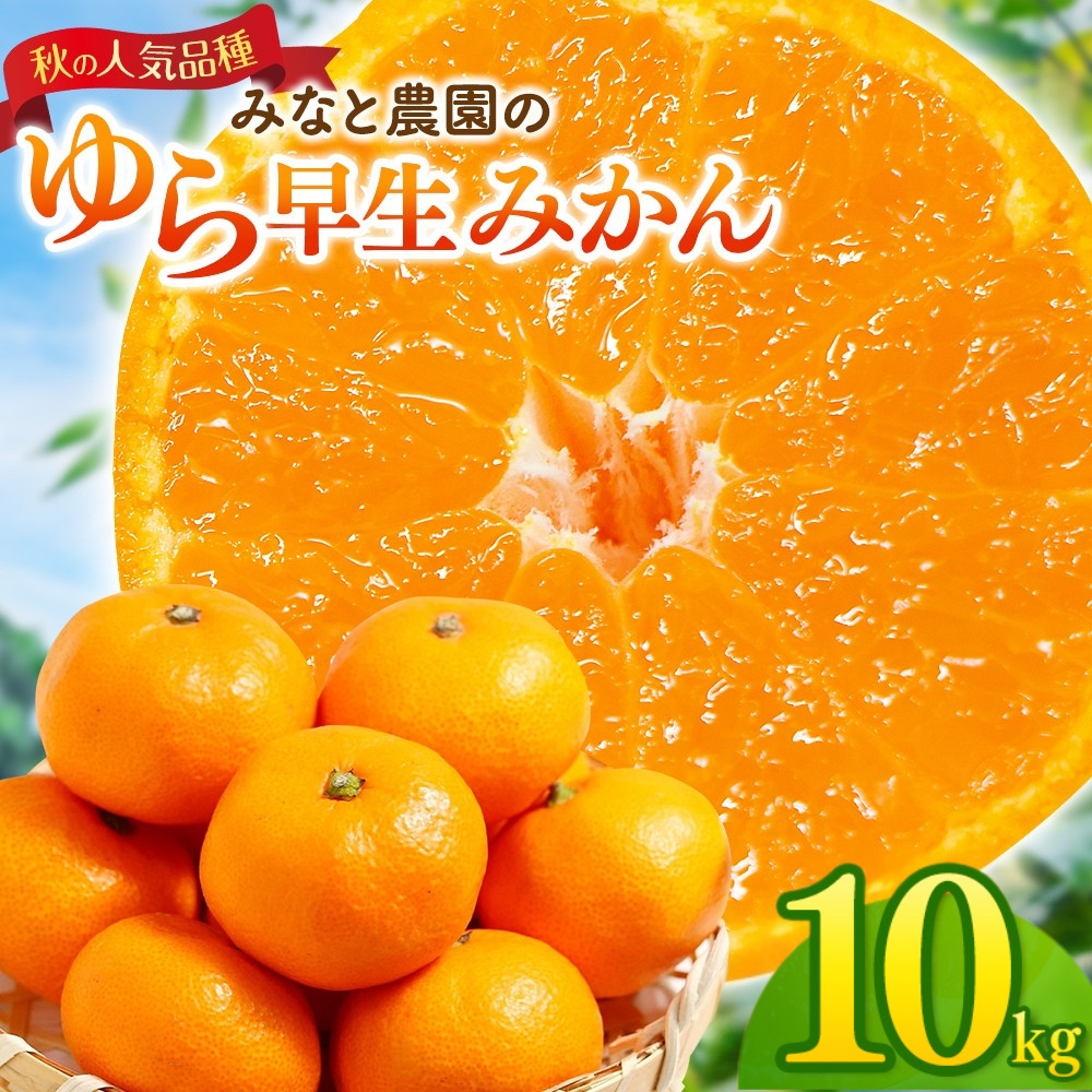 みかん みなと農園のゆら早生みかん 約10kg
