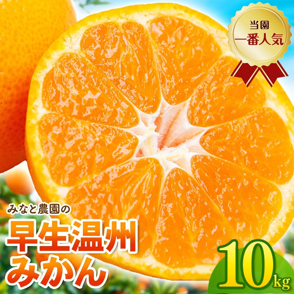 みかん みなと農園の温州みかん 早生 約10kg