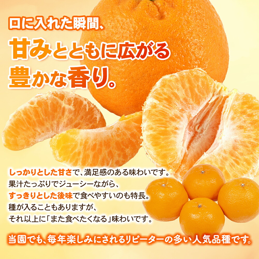 【数量限定】みなと農園のポンカン 約10kg 【2027年2月上旬頃～順次発送】みかん ミカン 柑橘 フルーツ 果物 くだもの 甘い 旬 人気 果汁 濃厚 ジューシー【mntf0012】