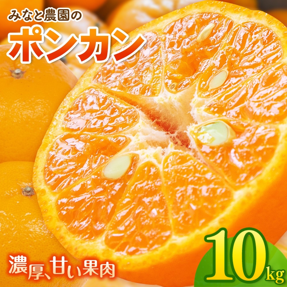みなと農園のポンカン 約10kg