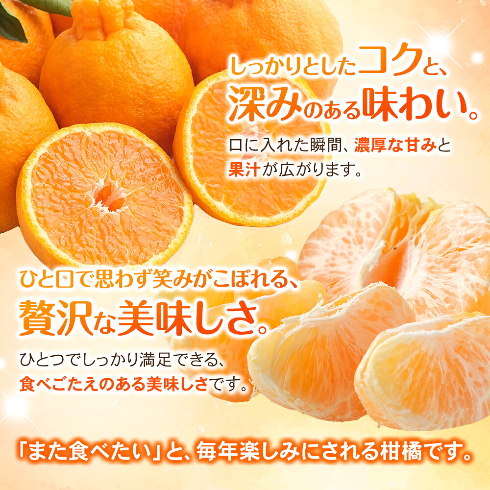 【数量限定】不知火 みなと農園の不知火 約10kg 【2027年2月下旬頃～順次発送】 不知火デコポン みかん ミカン 蜜柑 しらぬい シラヌイ 柑橘 フルーツ 果物【mntf0014】