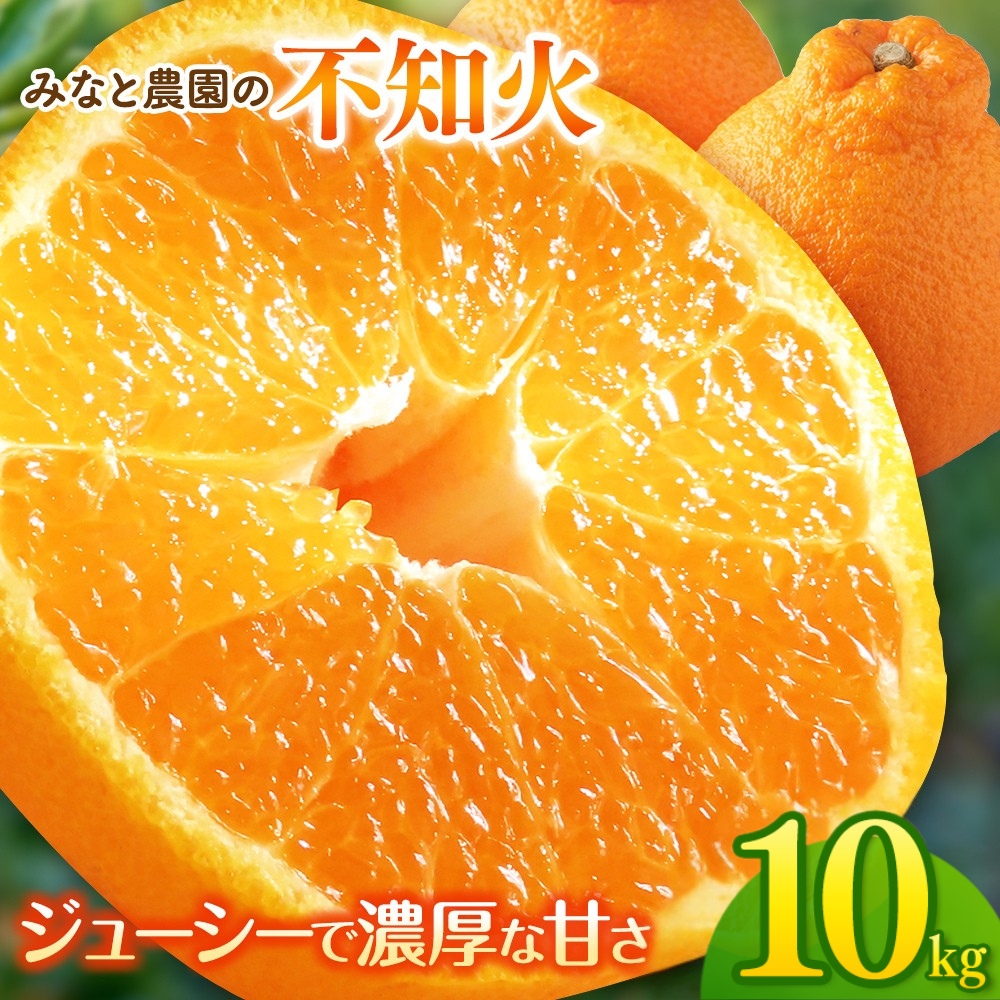 不知火 みなと農園の不知火 約10kg