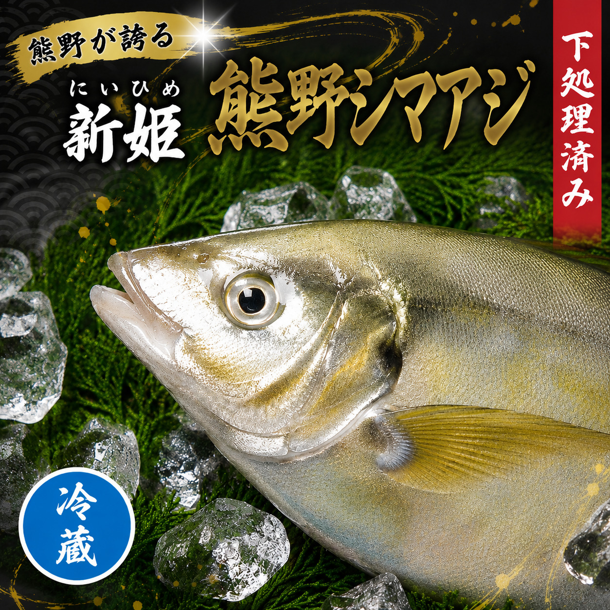 アジ 新姫熊野しまあじ 1匹