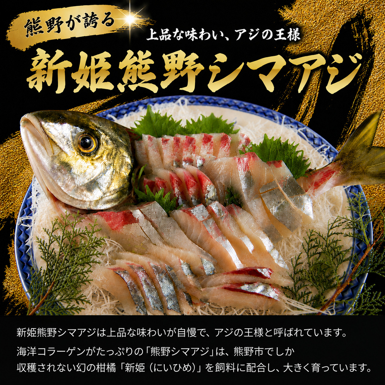 【配送日指定可】 アジ 新姫熊野しまあじ 1匹 下処理済み【冷蔵】あじ シマアジ 鯵 刺身 お刺身 さしみ 真空 海鮮 魚介 鮮魚 寿司 お寿司 しゃぶしゃぶ あじフライ【mzsi0004-1】