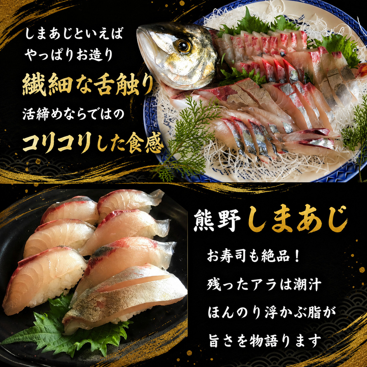 【配送日指定可】 アジ 新姫熊野しまあじ 1匹 下処理済み【冷蔵】あじ シマアジ 鯵 刺身 お刺身 さしみ 真空 海鮮 魚介 鮮魚 寿司 お寿司 しゃぶしゃぶ あじフライ【mzsi0004-1】