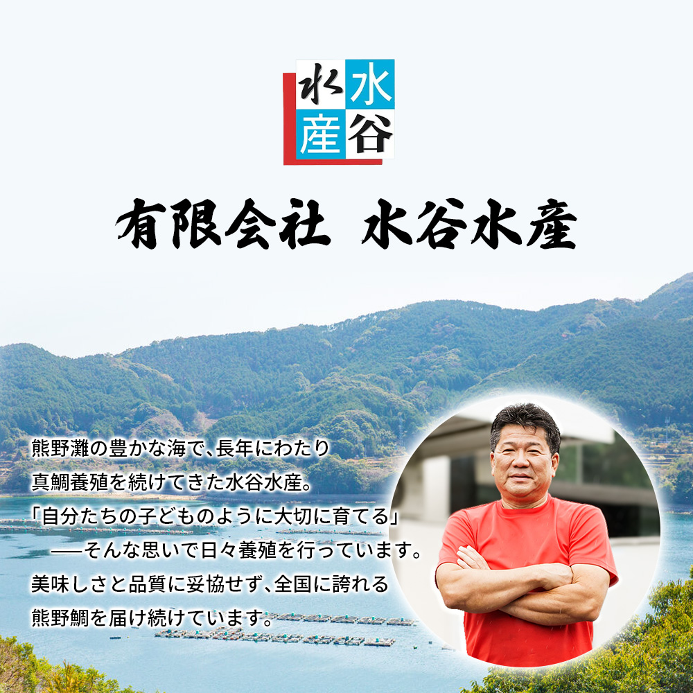 【配送日指定可】 アジ 新姫熊野しまあじ 1匹 下処理済み【冷凍】あじ シマアジ 鯵 刺身 お刺身 さしみ 真空 海鮮 魚介 鮮魚 寿司 お寿司 しゃぶしゃぶ あじフライ【mzsi0004-2】