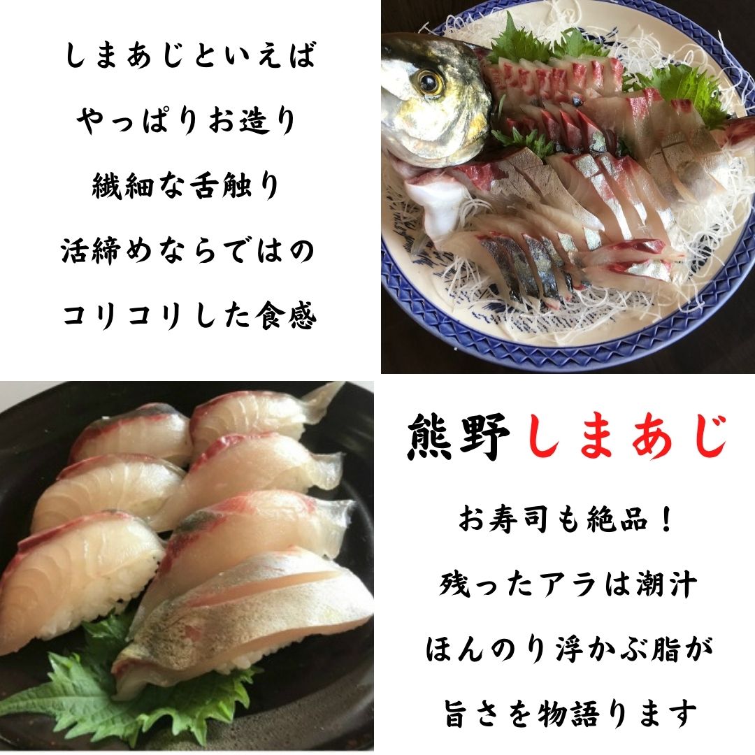 【配送日指定可】 アジ 新姫熊野しまあじ 1匹 3枚おろし アラ付き 朝どれ【冷蔵】あじ シマアジ 鯵 刺身 お刺身 さしみ 真空 海鮮 魚介 鮮魚 寿司 お寿司 しゃぶしゃぶ【mzsi0005-1】