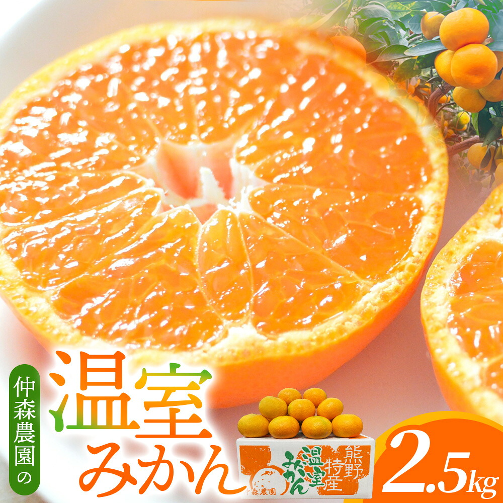 みかん 仲森農園の温室みかん 2.5kg