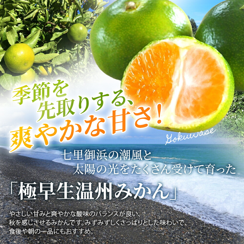 【間もなく出荷開始!】【数量限定】みかん 仲森農園の極早生温州みかん約3kg 約5kg 約7kg 約10kg【nkmr0015】【nkmr0016】【nkmr0017】 【nkmr0018】