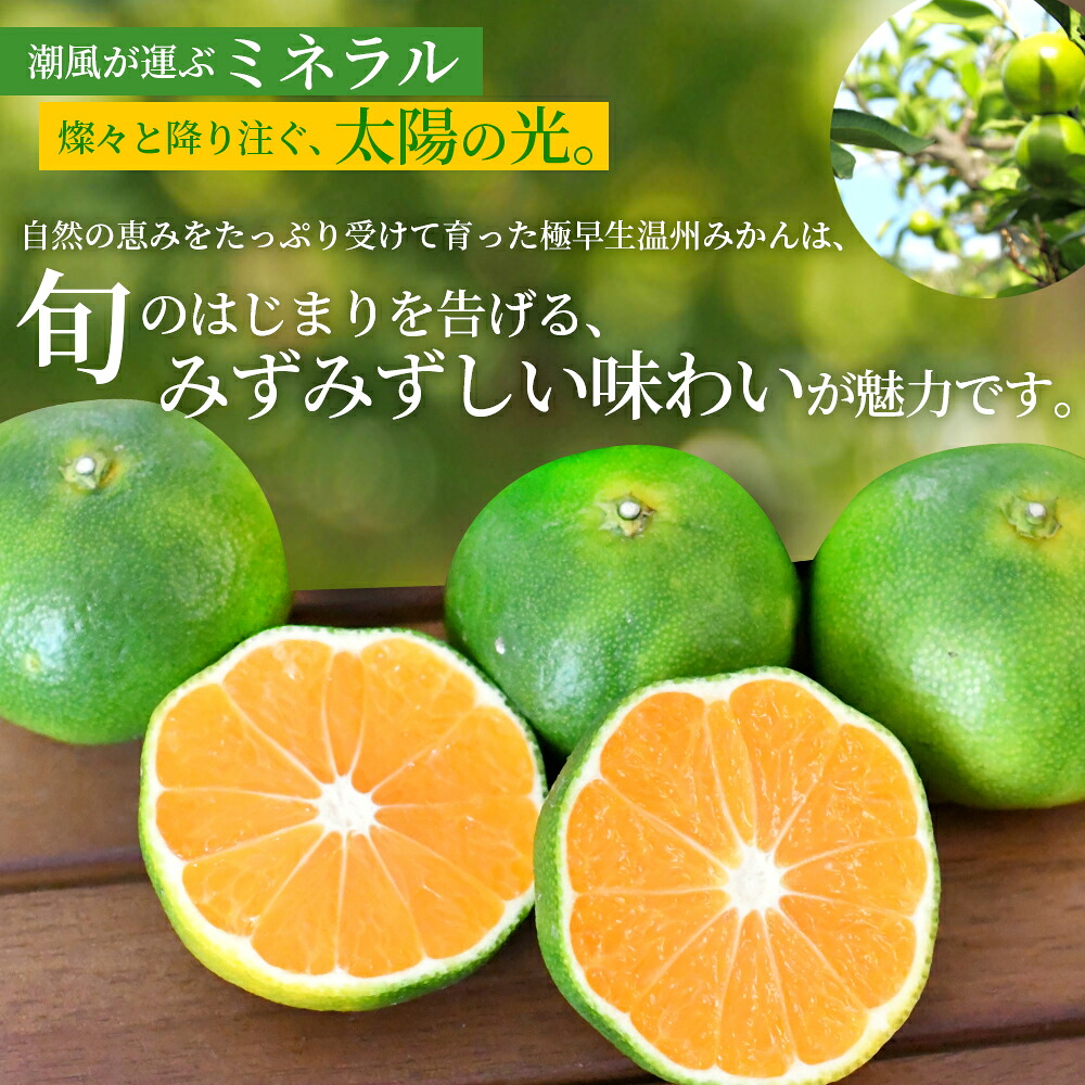 【間もなく出荷開始!】【数量限定】みかん 仲森農園の極早生温州みかん約3kg 約5kg 約7kg 約10kg【nkmr0015】【nkmr0016】【nkmr0017】 【nkmr0018】