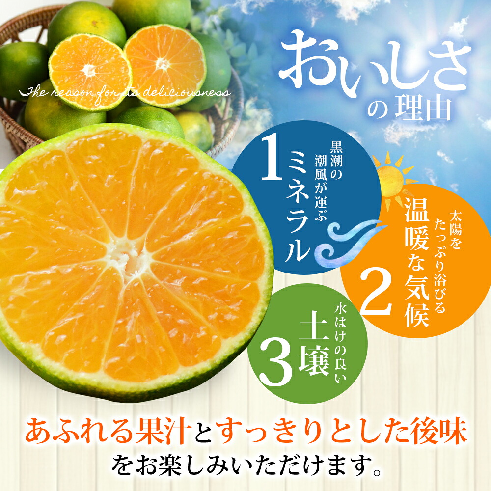 【間もなく出荷開始!】【数量限定】みかん 仲森農園の極早生温州みかん約3kg 約5kg 約7kg 約10kg【nkmr0015】【nkmr0016】【nkmr0017】 【nkmr0018】