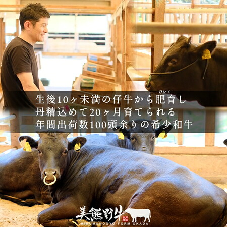 【美熊野牛】カレー 黒毛和牛 希少和牛【okad0001】