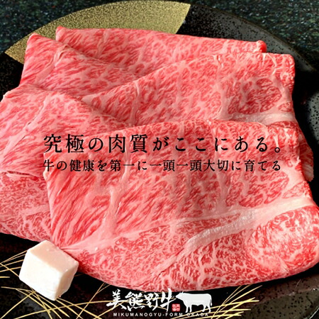 【美熊野牛】カレー 黒毛和牛 希少和牛【okad0001】
