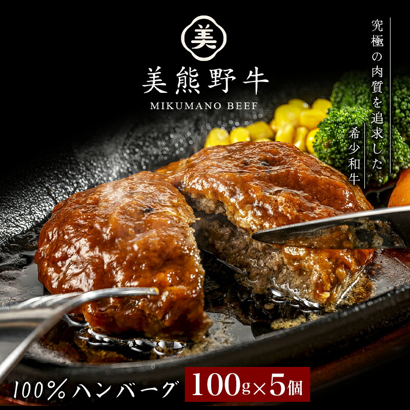 美熊野牛 100% ハンバーグ 100g×5個