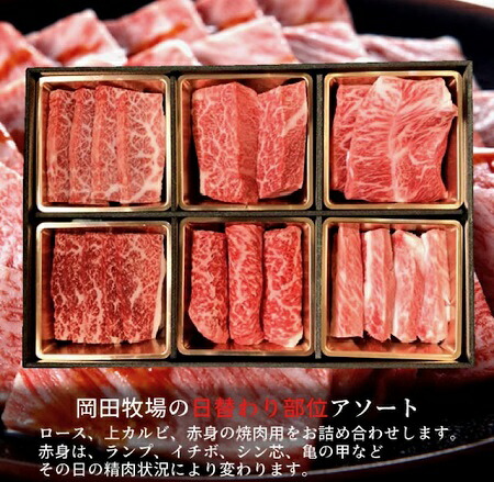 美熊野牛 6種の部位が楽しめる 食べ比べ 焼肉セット 500g ロース カルビ 赤身 牛肉 肉 ブランド牛 和牛 黒毛和牛 国産牛 焼肉 焼き肉 霜降り 赤身 人気 希少 万能 【okad0008】