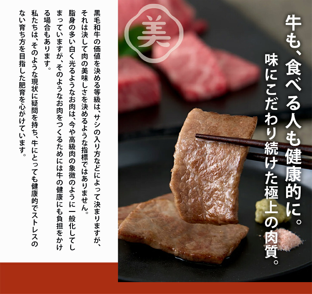 美熊野牛 6種の部位が楽しめる 食べ比べ 焼肉セット 500g ロース カルビ 赤身 牛肉 肉 ブランド牛 和牛 黒毛和牛 国産牛 焼肉 焼き肉 霜降り 赤身 人気 希少 万能 【okad0008】
