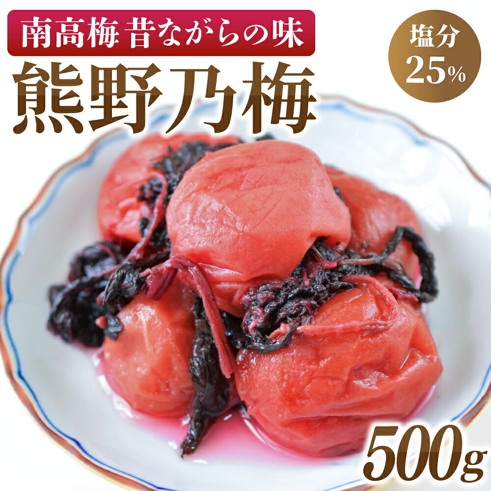 梅干し 南高梅 熊野乃梅 昔ながらの梅 500g×1P