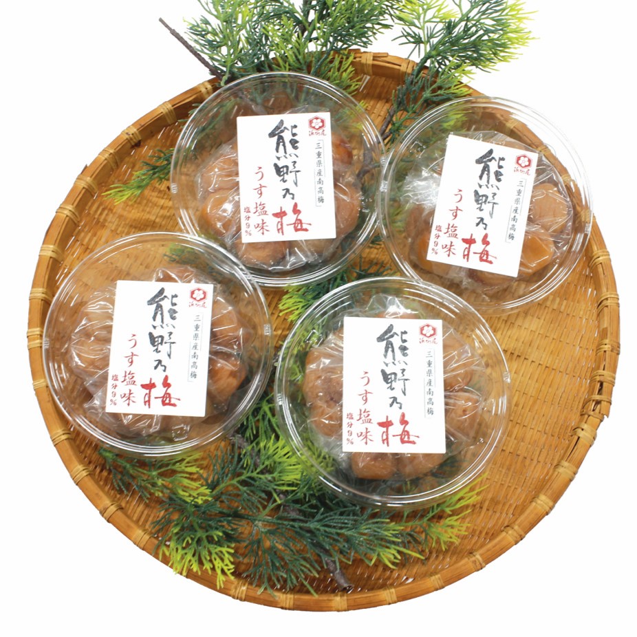 梅干し 熊野乃梅 うす塩 小分け 4パックセット 150g×4