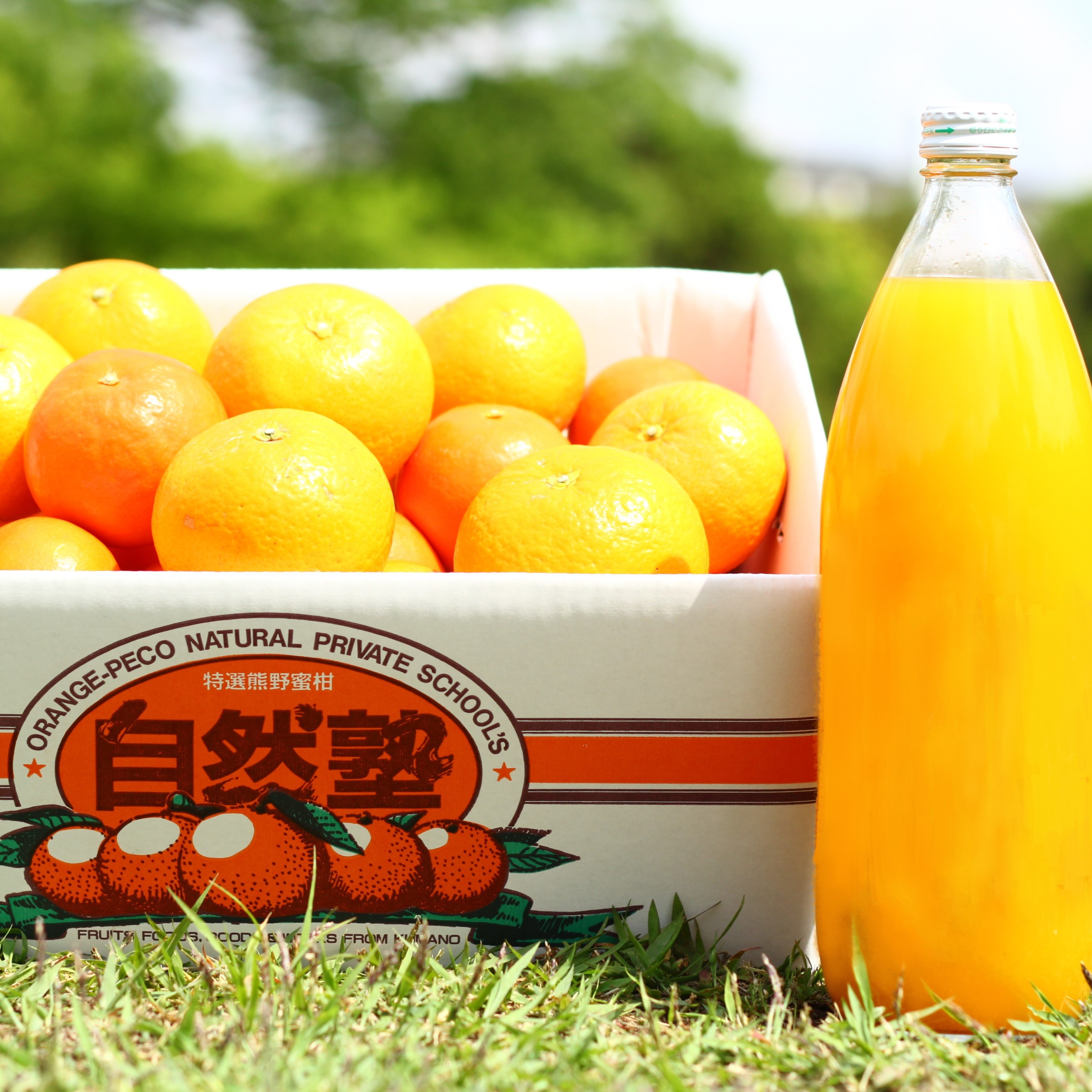 自然塾 季節のみかん&まるごと果汁 詰合せ