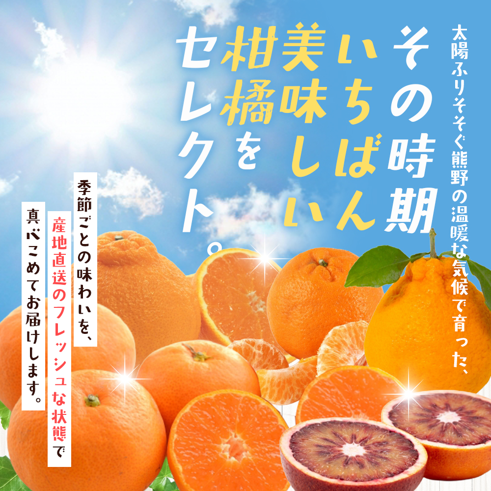 みかん 自然塾 季節の柑橘詰合せ 約3.5㎏ みかん ミカン 温州みかん フルーツ 果物 くだもの 柑橘 不知火 せとか 果物セット フルーツセット 甘い 旬 人気 果汁 濃厚 【szjk0003】