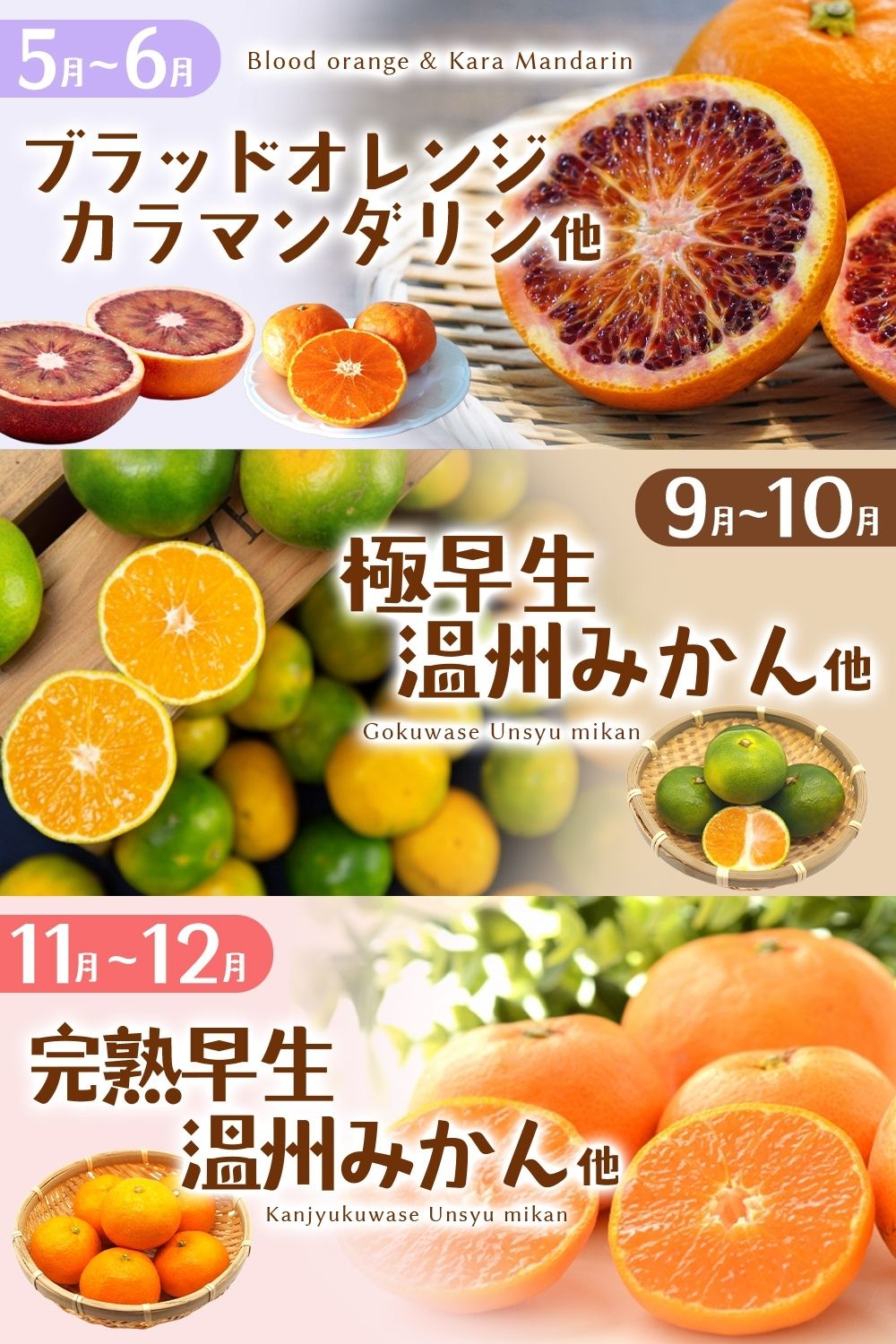 みかん 自然塾 季節の柑橘詰合せ 約3.5㎏ みかん ミカン 温州みかん フルーツ 果物 くだもの 柑橘 不知火 せとか 果物セット フルーツセット 甘い 旬 人気 果汁 濃厚 【szjk0003】