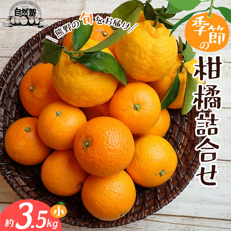 みかん 自然塾 季節の柑橘詰合せ 約3.5㎏ みかん ミカン 温州みかん フルーツ 果物 くだもの 柑橘 不知火 せとか 果物セット フルーツセット 甘い 旬 人気 果汁 濃厚 【szjk0003】
