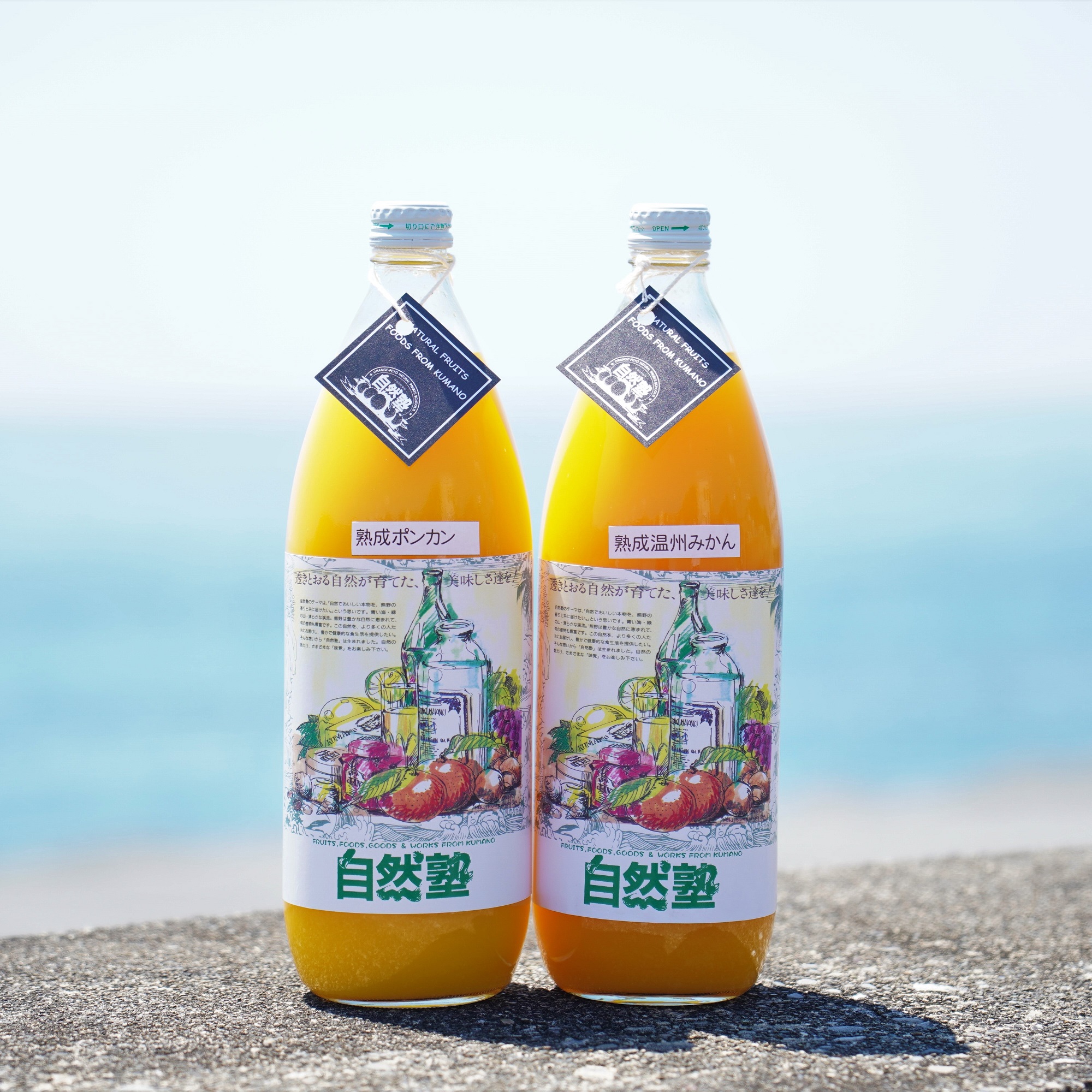 自然塾 柑橘100%まるごと絞りジュース 2本入り 季節の柑橘 みかんジュース ストレートジュース 無添加 オレンジジュース 果汁100％ みかん 温州みかん ポンカン 不知火 【szjk0007】