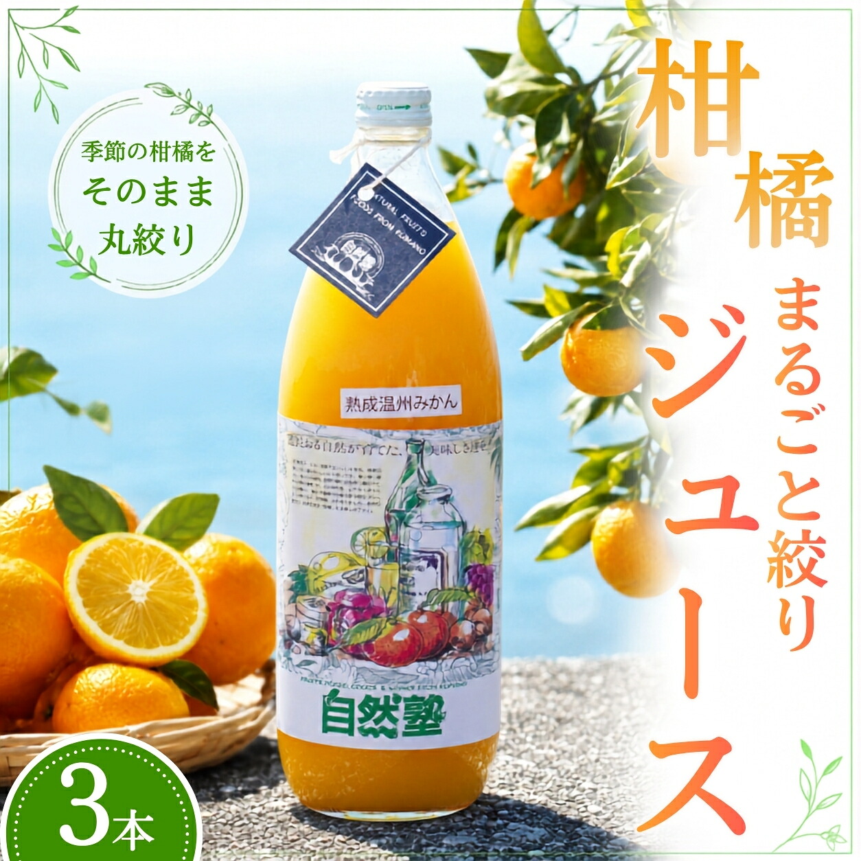 自然塾 柑橘100%まるごと絞りジュース 3本入り