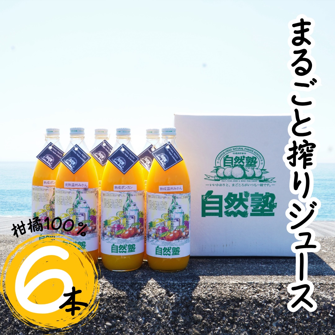 自然塾 柑橘100%まるごと絞りジュース 6本入り
