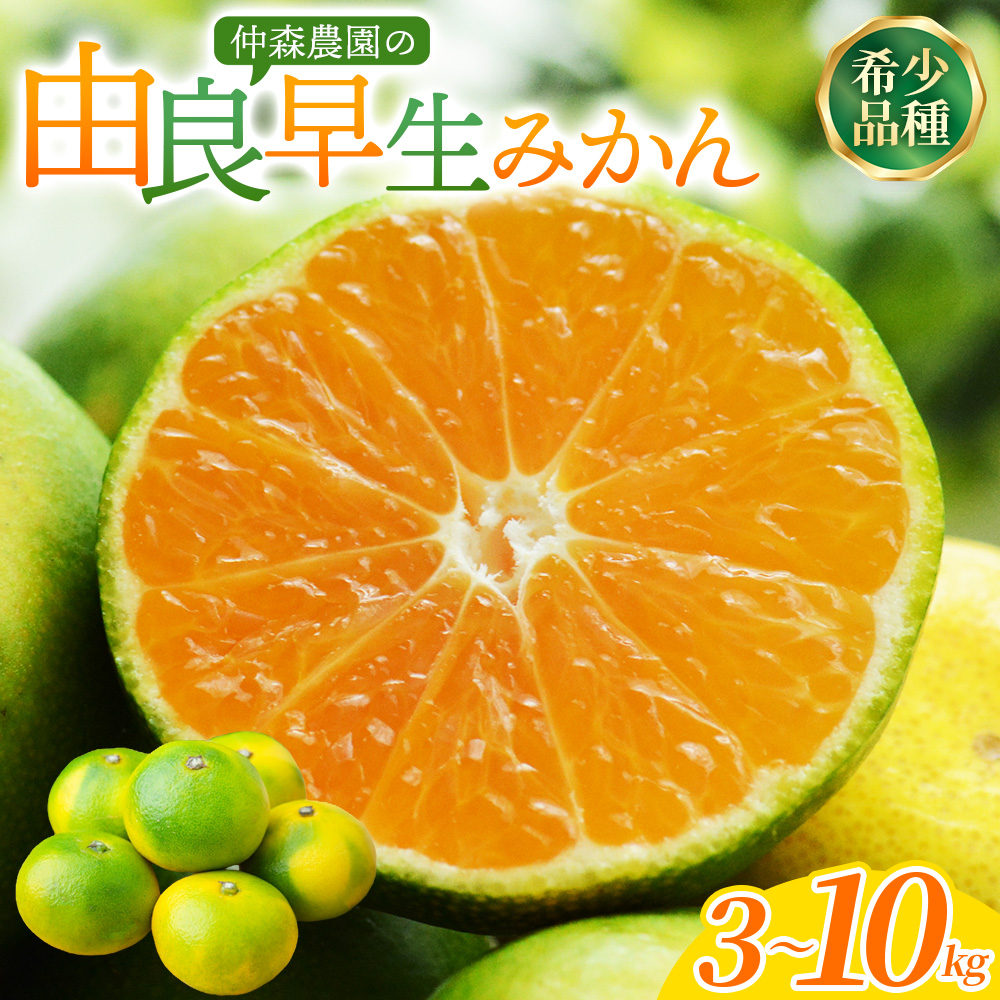 みかん 仲森農園の由良早生みかん 約3kg
