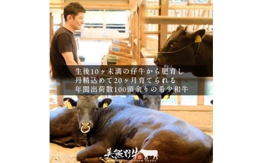 美熊野牛 サーロインステーキ 約300g×1枚 牛肉 肉 ステーキ サーロイン ブランド牛 和牛 黒毛和牛 国産牛 霜降り 霜降り肉 人気 希少 おすすめ 三重県 熊野市【okad0009】