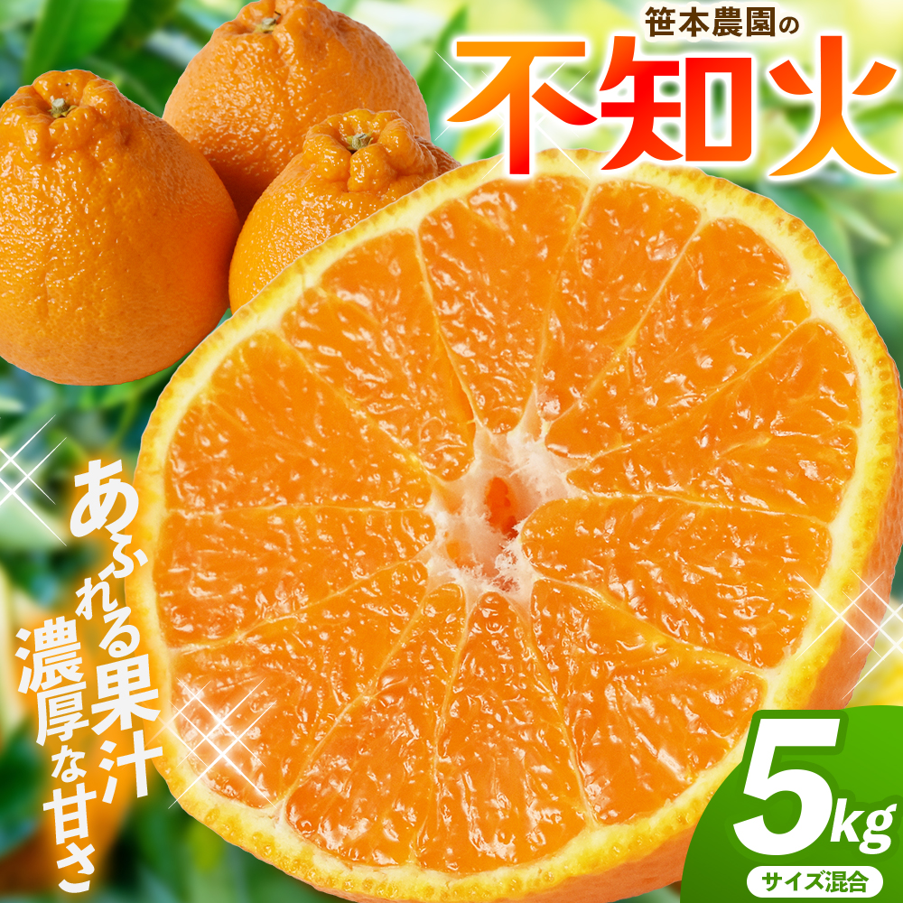 不知火 笹本農園の不知火 約5kg